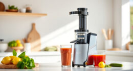 Ninja NeverClog Cold Press Juicer: A Fresh Summer Juicing Companion