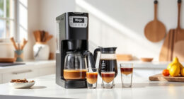 Summer Care Guide for Ninja Hot & Iced XL Coffee Maker