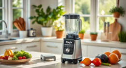Summer Care Tips for Your Ninja Professional Blender