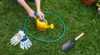 This Easy DIY Trick Solves 4 Common Lawn Problems At Once – All It Takes Is A Piece Of Old Chain-Link Fencing