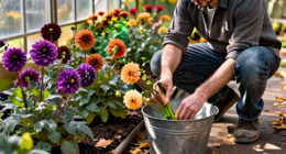 10 Best Fall-Blooming Garden Flowers for Lasting Autumn Color in 2027