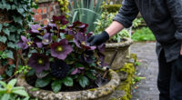 11 Best Gothic Garden Plants in 2027