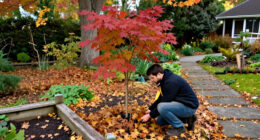 12 Best Native Trees for Fall Color in 2027