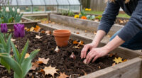 11 Best Plants To Plant In Fall in 2027