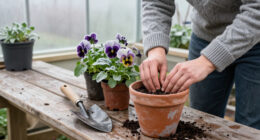 14 Best Frost-Tolerant Flowers for Cold-Weather Color in 2027