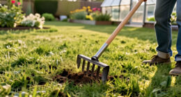 14 Best Handheld Soil Aerators for Healthier Lawns in 2027