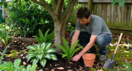 14 Best Shade Garden Plants for a Lush, Low-Light Garden in 2027