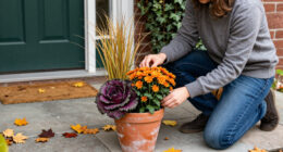 15 Best Fall Plants for Front Doors in 2027