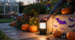 15 Best Halloween Outdoor Projection Lights for Spooky Displays in 2027