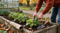 15 Best October Garden Tools for Fall Cleanup and Planting in 2027