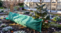 15 Best Perennial Winter Protection Products in 2027