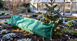 15 Best Perennial Winter Protection Products in 2027