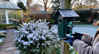 16 Of The Best Winter Bird Feeders That Look Good Enough To Leave Out All Year