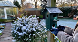 16 Of The Best Winter Bird Feeders That Look Good Enough To Leave Out All Year