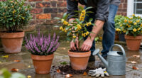 4 Autumn-flowering Shrubs To Plant In Pots Now For Abundant Blooms And Fragrance