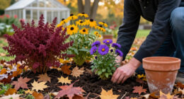 7 Underrated Perennials To Plant In October – For The Gorgeous Fall Color You Never Knew You Were Missing