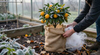 8 Plants That Need Winter Protection More Than You’d Think – Help Them Before Frost Sets In