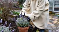 9 Best Lavender Winter Protection Covers for 2027