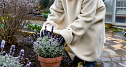 9 Best Lavender Winter Protection Covers for 2027