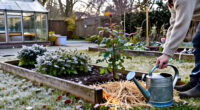 9 Garden Tasks To Do Before The First Hard Freeze