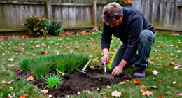 Can You Plant Grass Seed In October? Here's How To Fix Bare Spots Before Winter