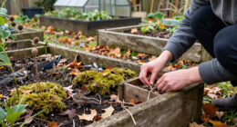 Help Insects And Birds Over Winter—Build A “Bug Snug”