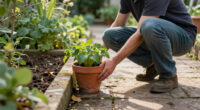 Monty Don's Simple Potted Plant Trick Makes Any Garden Path Feel Instantly More Magical