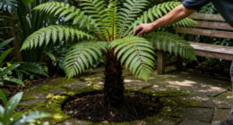 Monty Don's Tree Ferns Are A Clever Way To Transform A Tricky Shady Garden