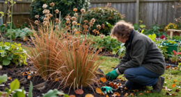 The Flower Gardeners Never Deadhead In October – Leave It For Wildlife, Fall Color And Winter Beauty