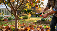 Think Twice Before Pruning Trees In October – Only These 3 Exceptions Can Tolerate A Light Trim