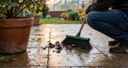 Wet Leaves Can Ruin A Patio – Experts Say These Are The Biggest Cosmetic And Safety Risks