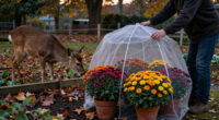 Why Deer Eat Mums—and How To Protect Your Fall Flowers