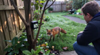 Wildlife Cameras Reveal The Backyard Visitors You Don't Even Know Are There – 16 Top Picks To Capture Charming Footage